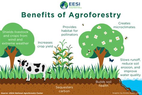 Agro-Forestry and Climate Change Kindle Editon