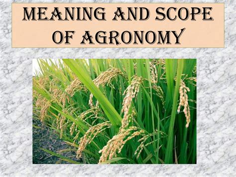 Agronomy: