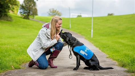 Ain't a Puppy: A Comprehensive Guide to Dog Training for Senior Owners