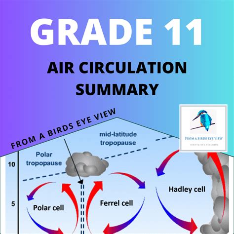 Air Circulation: