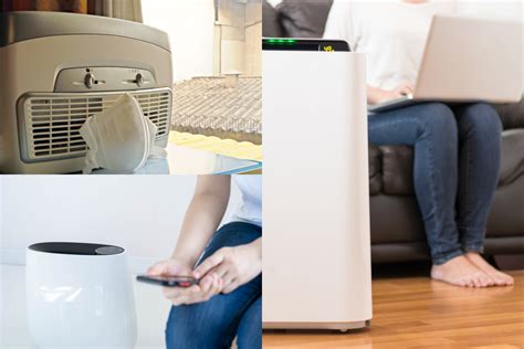 Air Purifier and Fragrance-Free Options: A Comprehensive Guide