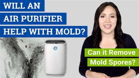 Air Purifier vs Mold Spores: The Ultimate 2025 Battle