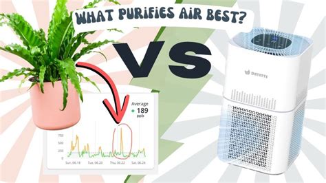 Air Purifier vs. 2025: The Ultimate Guide