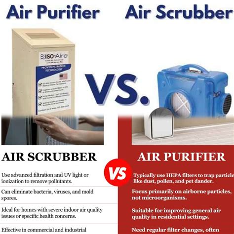 Air Purifier vs. Immune System 2025: A Battle for Better Health