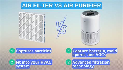 Air Purifiers vs Mold Allergies: A Comparative Analysis