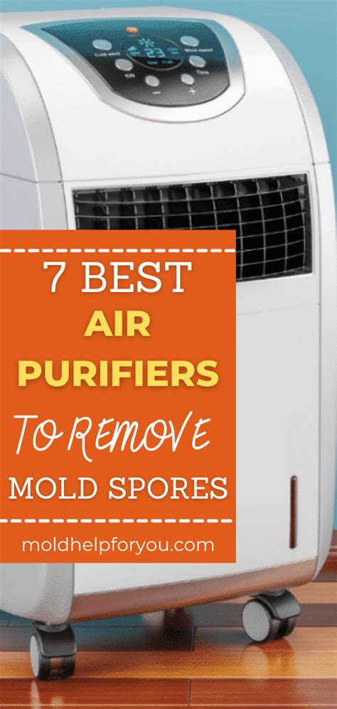 Air purifier and mold removal