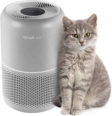 Air purifier and pet hair