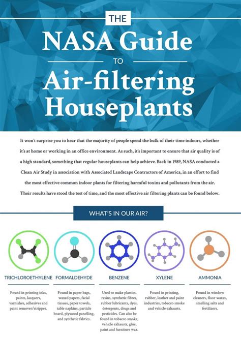 Air purifier research and studies