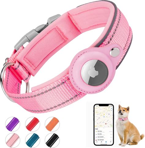 AirTag Collar Pet Data and Statistics: 2025 Market Outlook