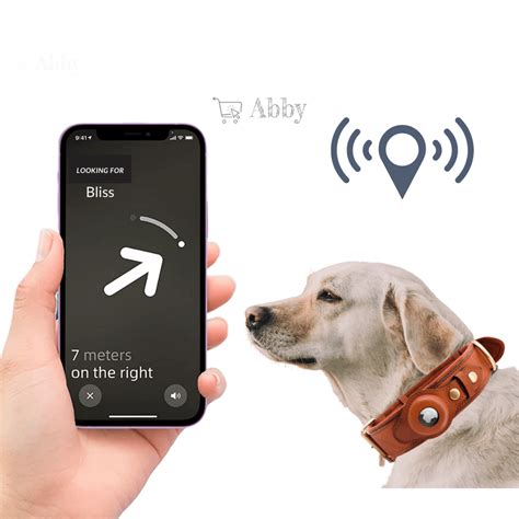 AirTag Collar VS 2025: Unveiling a Revolutionary Pet Tracking Experience