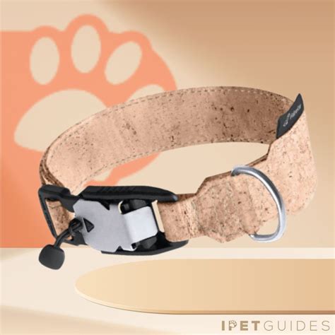 AirTag Collar VS Traditional Collar: The Showdown for Pet Owners 2025