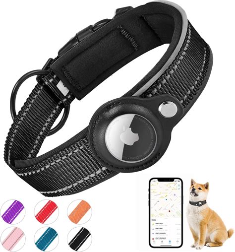 AirTag Collar for Indoor Pets: A Game-Changer in 2025