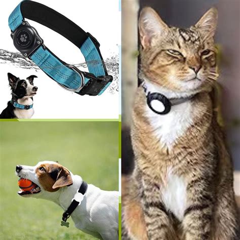 AirTag Collar for Large Pets: Ultimate 2025 Guide