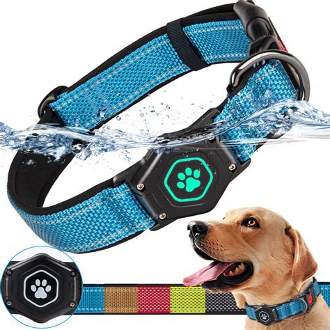 AirTag Collar for Outdoor Pets: The Future of Pet Safety