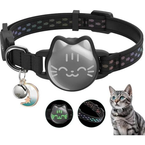 AirTag Collar for Small Pets: 2025's Must-Have Companion VS Traditional Collars