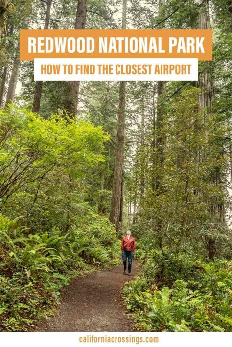 Airport Closest to the Redwood Forest: Your Gateway to Nature's Majesty