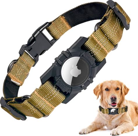 Airtag collar and pet care routines