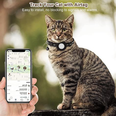 Airtag collar and pet health monitoring