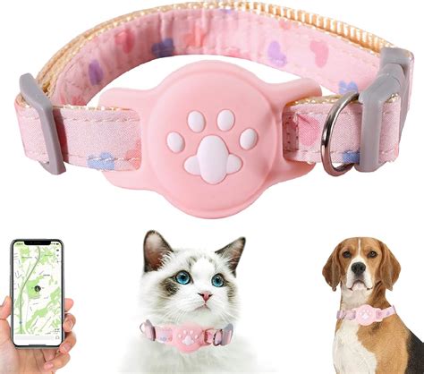 Airtag collar and pet natural disaster preparedness