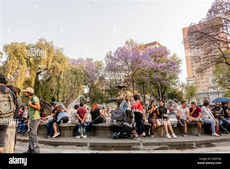 Alameda Central: A Timeless Oasis in the Heart of Mexico City