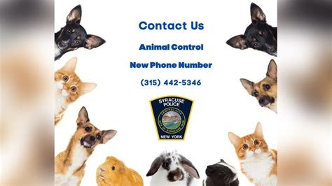 Albuquerque Animal Control Phone Number: 505-924-1733