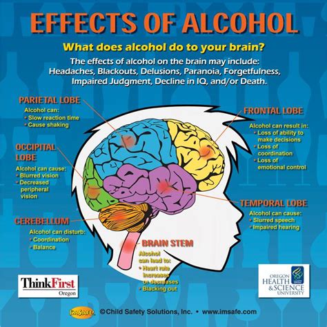Alcohol and Alcoholism: Effects on Brain and Development Kindle Editon