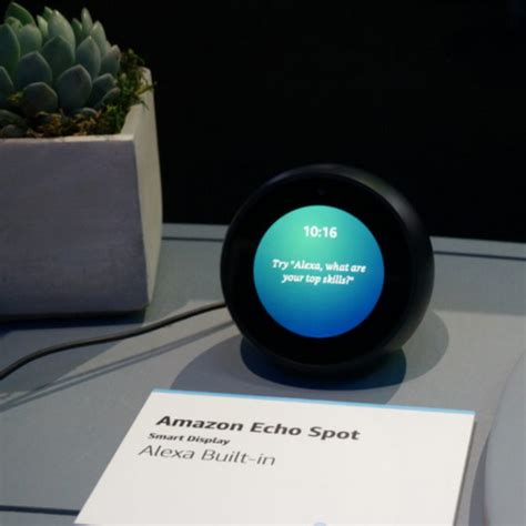 Alexa Alita: The Complete Guide to Amazon's Revolutionary AI Assistant