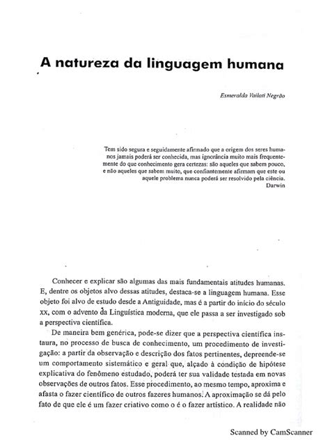 Alfabeto: O Fundamento da Linguagem Humana