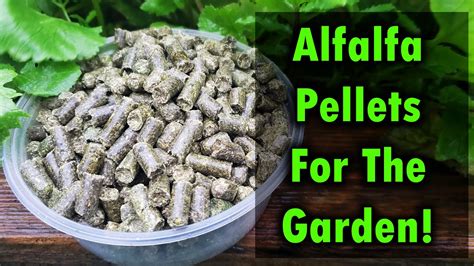 Alfalfa Pellets Fertilizer: A Comprehensive Guide to Plant Nutrition