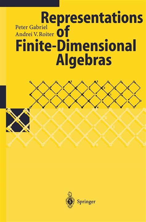 Algebra 8 Representations of Finite-dimensional Algebras Encyclopaedia of Mathematical Doc