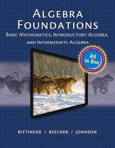 Algebra Foundations Basic Math Introductory and Intermediate Algebra PDF