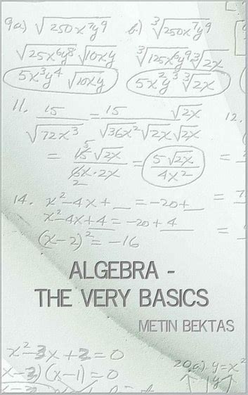 Algebra The Very Basics Doc