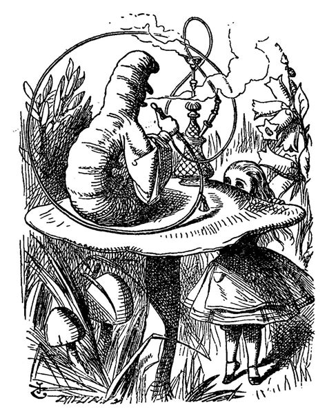 Alice s Adventures In Wonderland With Illustrations In Black And White