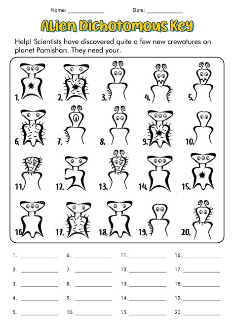 Alien Dichotomous Key Activity Answers Doc