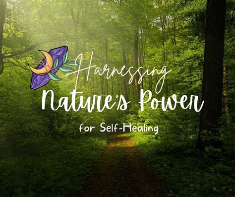 Alinaarose: The Revolutionary Approach to Harnessing Nature's Healing Power