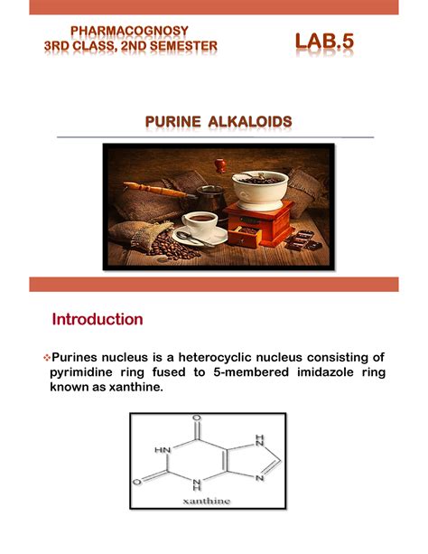 Alkaloids PDF