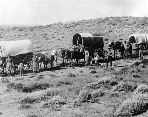 All About America Wagon Trains and Settlers PDF