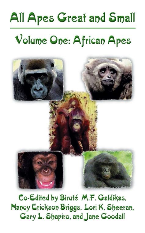 All Apes Great and Small Volume 1 African Apes Developments in Primatology Progress and Prospects Epub