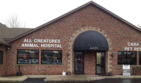 All Creatures Veterinary Clinic