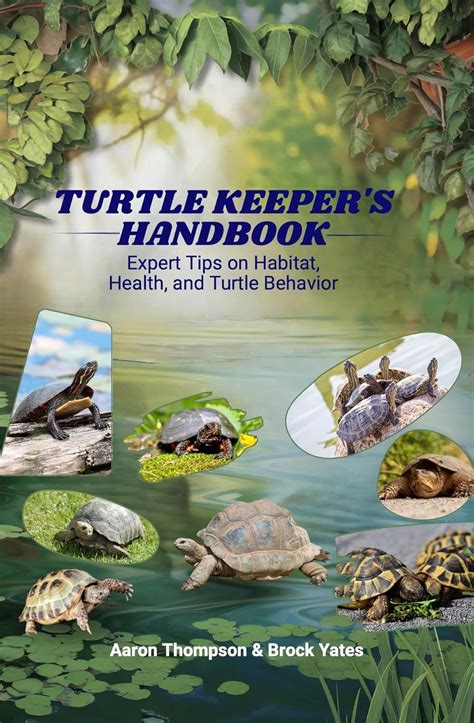 All about Turtles Epub