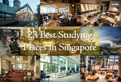 All of Singapore's Best Study Spots: From the Quiet to the Quirky