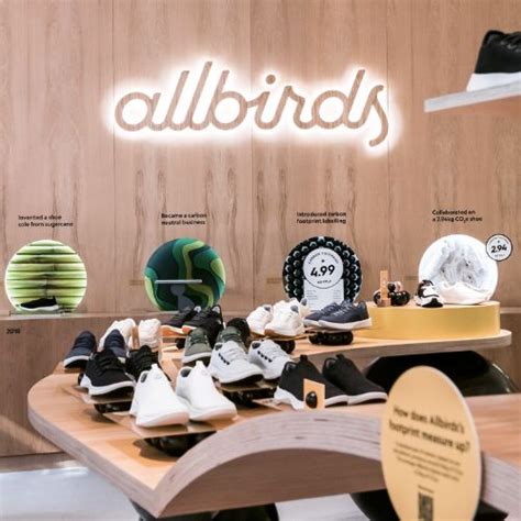 Allbirds: The Revolutionizing Footwear Brand with a Sustainable Twist