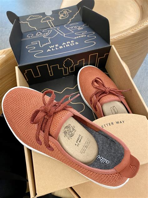 Allbirds Outlet: Your Haven for Sustainable Style