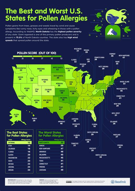 Allergen Levels Near Me: A Comprehensive Guide for Your Health