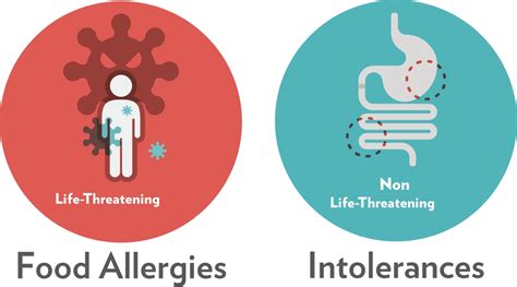 Allergies VS Pets: The Dual Dilemma