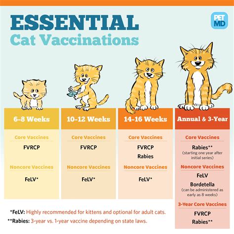 Allergy Vaccines for Cats: A Revolutionary Advance for Feline Health