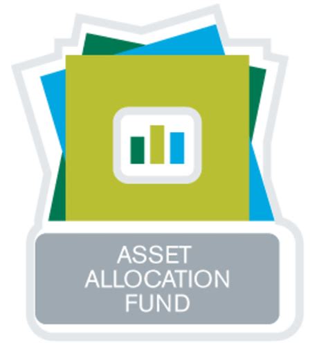 Allocated funds: