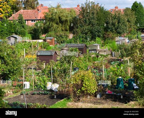 Allotments Reader