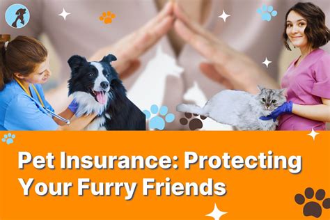 Allstate Animal Insurance: The Perfect Choice for Your Furry Friends!