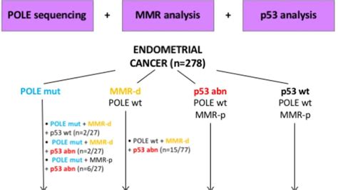 Allyken: Redefining Cancer Treatment with a Precision Approach